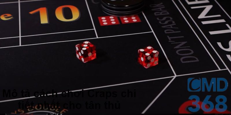 Mô tả cách chơi Craps chi tiết nhất cho tân thủ